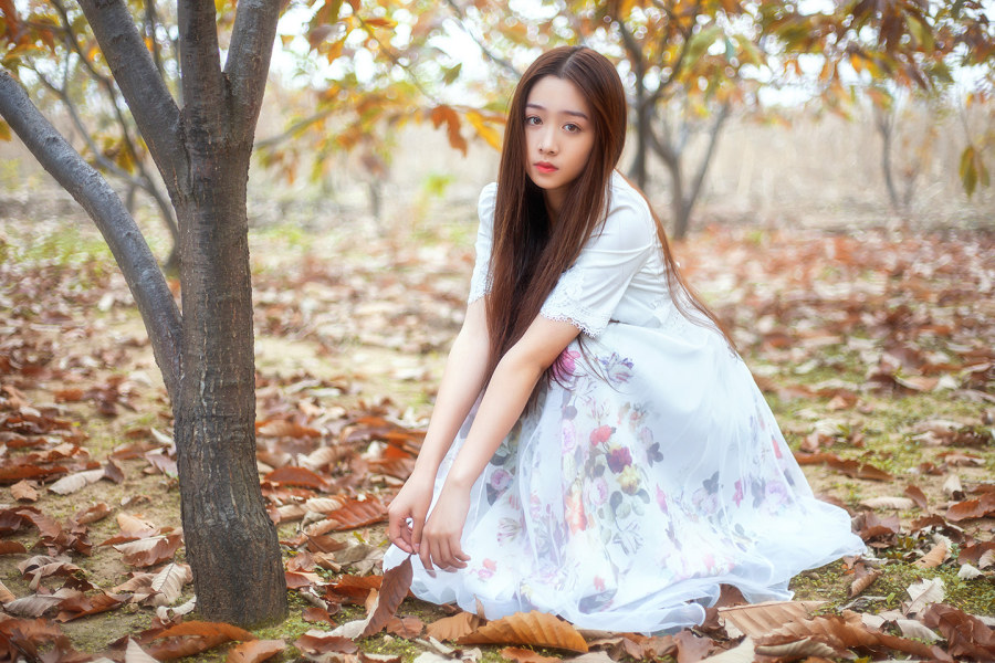 美女性感热舞高清在线观看4